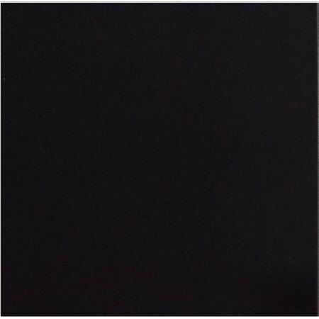 Pro Matte Black Floor Tile 12x12