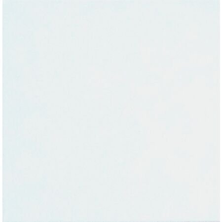 Pro Matte White Floor Tile 12x12