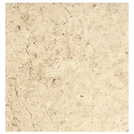 Jerusalem Cream Limestone Tile 16x16